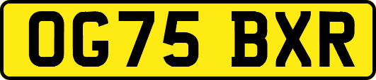 OG75BXR