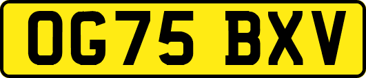 OG75BXV