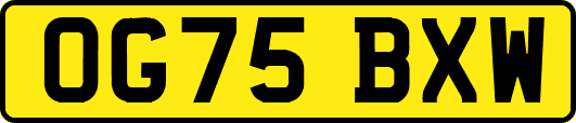 OG75BXW