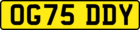 OG75DDY