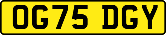 OG75DGY