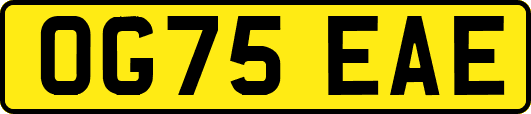 OG75EAE