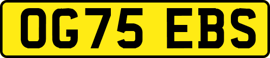 OG75EBS