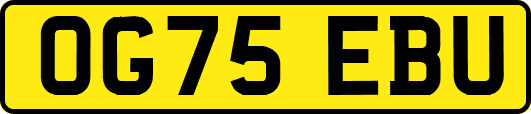 OG75EBU