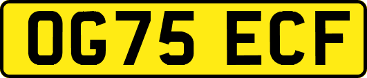 OG75ECF