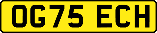 OG75ECH