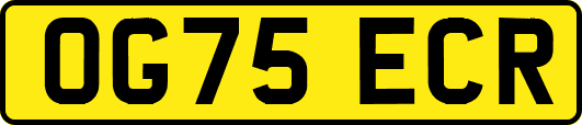 OG75ECR