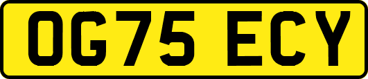 OG75ECY