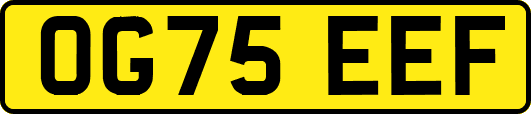 OG75EEF