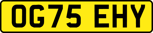 OG75EHY