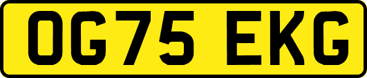 OG75EKG