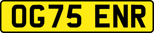 OG75ENR