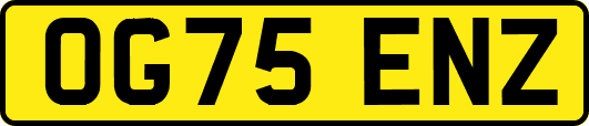 OG75ENZ