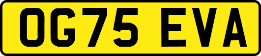 OG75EVA