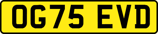 OG75EVD