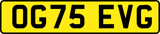 OG75EVG