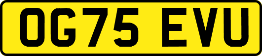 OG75EVU