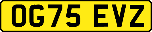 OG75EVZ