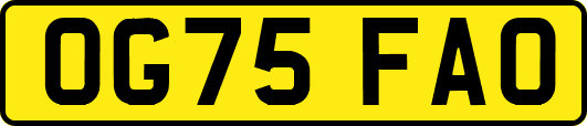 OG75FAO