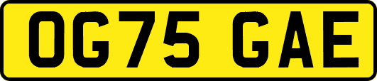 OG75GAE