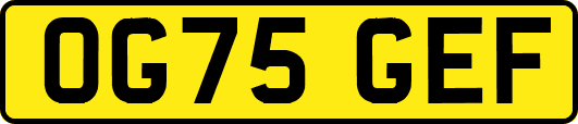 OG75GEF