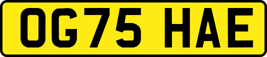 OG75HAE