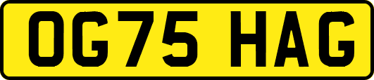 OG75HAG