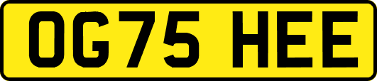 OG75HEE