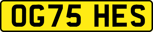 OG75HES