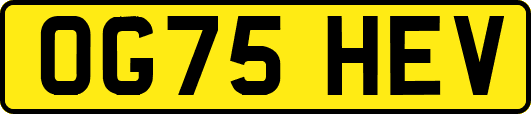 OG75HEV