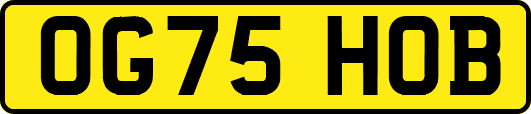OG75HOB