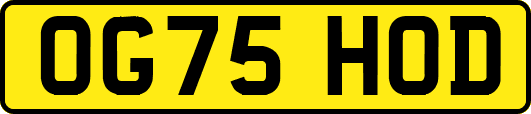 OG75HOD