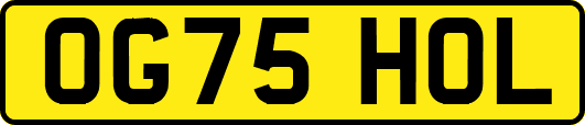 OG75HOL