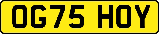 OG75HOY
