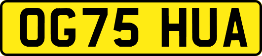 OG75HUA