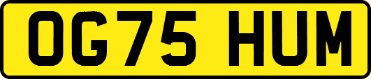 OG75HUM