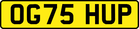 OG75HUP