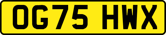 OG75HWX