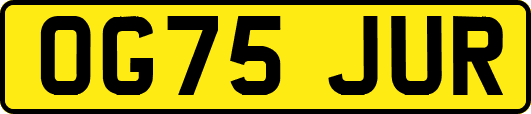 OG75JUR