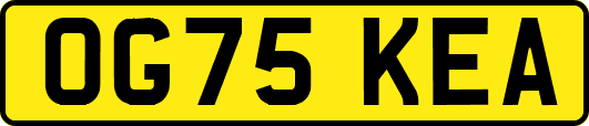 OG75KEA