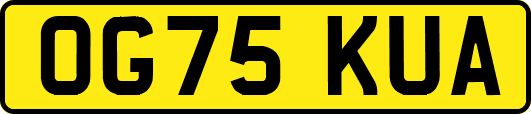 OG75KUA
