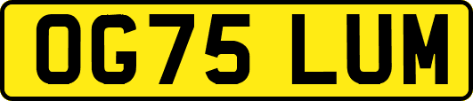 OG75LUM