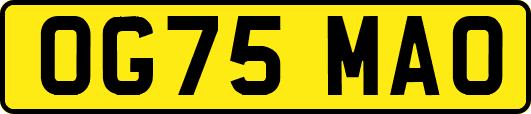 OG75MAO