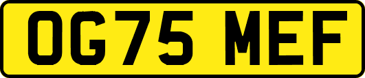 OG75MEF