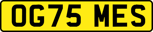 OG75MES