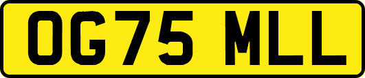 OG75MLL