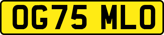 OG75MLO