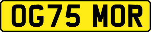 OG75MOR
