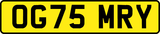 OG75MRY