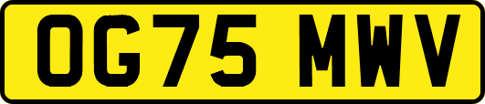 OG75MWV
